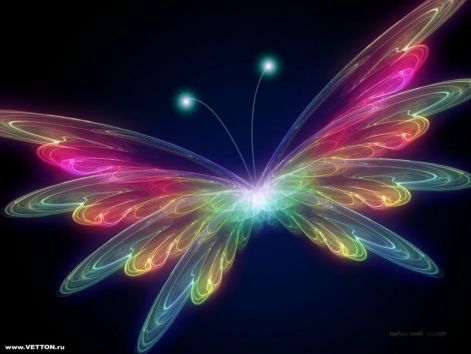 butterflywallpaper1152x.jpg